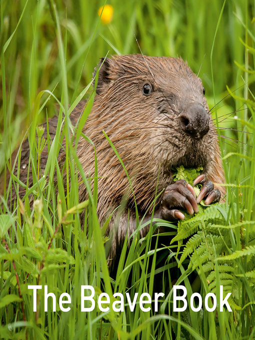 Title details for The Beaver Book by Hugh Warwick - Available